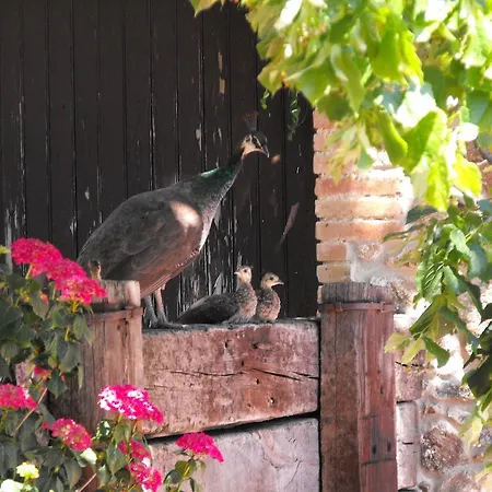 Casa di campagna Mas Roquet *
